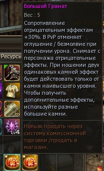 большой гранат китай.jpg